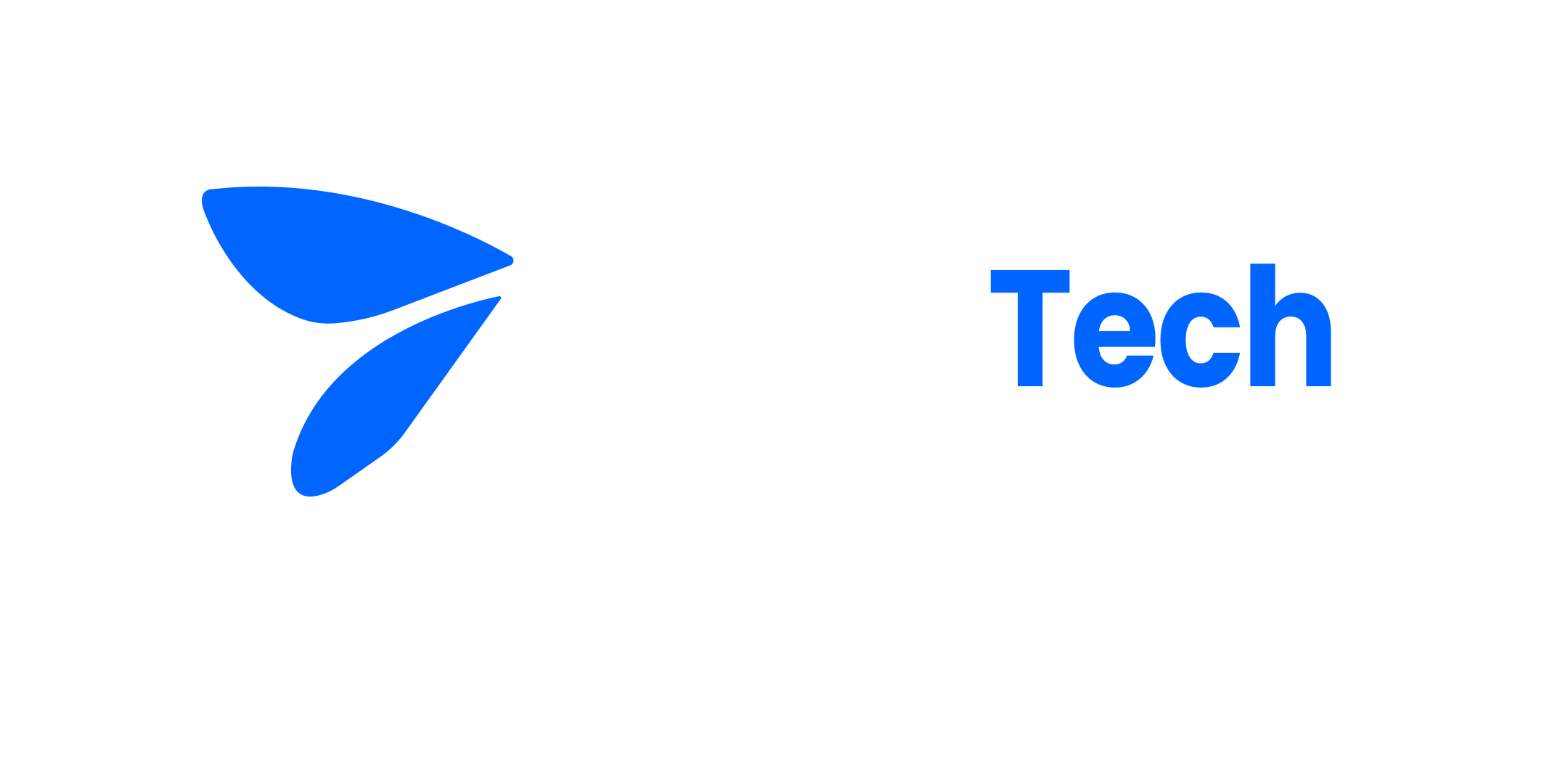 Flies Tech